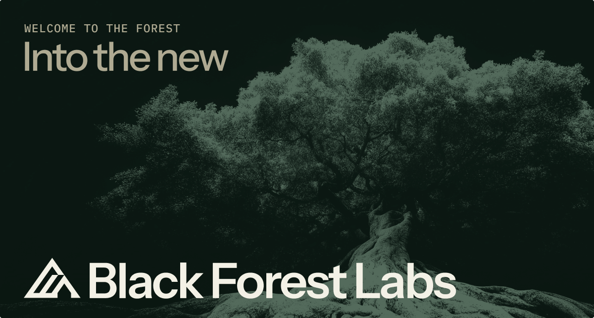 Black Forest Labs - Firmenseite